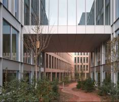 Damien FRAULOB - DAMIEN FRAULOB